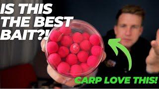 IS THIS THE BEST BAIT FOR CARP FISHING?!