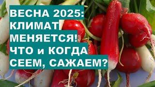 ВЕСНА 2025: Климат Меняется! ЧТО САЖАЕМ РАНО?