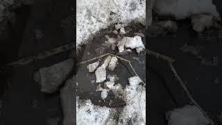 Найди прорыв в этот раз на Сульфате у бюро судебно-медицинской экспертиз.