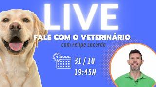 128 | FALE COM O VETERINÁRIO - Live gratuita para você perguntar tudo sobre seu cachorro ou gato!