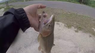 Prado Regional park trout fishing with mini jigs