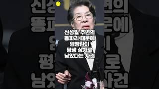 신성일 주변의 똥파리 때문에 엄앵란이 평생 상처로 남았다는 사건