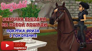 Рабочая выездка в Star Stable | Покупка Юрвикского фриза | Игра про лошадей