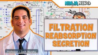 Renal | Filtration, Reabsorption, and Secretion: Overview