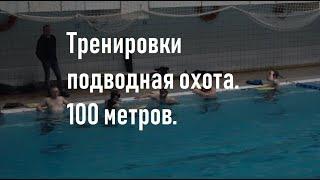 Тренировки подводное плавание.  100 метров в бассейне.  Подводная охота.