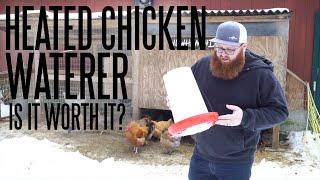 The Best Heated Chicken Waterer We’ve Used