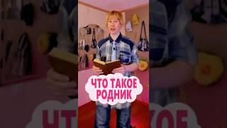 Что такое родник #ВсеОбоВсем