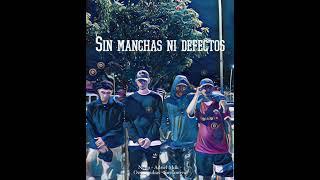 1. Sin manchas ni defectos