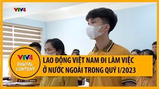 Lao động Việt Nam đi làm việc ở nước ngoài với tín hiệu khởi sắc trong quý I | VTV4