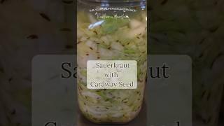 This Year's Batch of Sauerkraut - Our Favorite Variety!