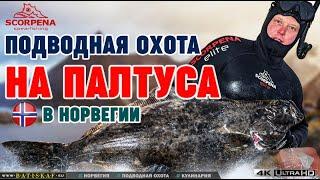 Подводная охота на палтуса в Норвежском море