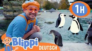 Blippi lernt etwas über tolle Tiere im Zoo | Blippi Deutsch | Abenteuer und Videos für Kinder