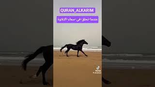 أولم ير الإنسان-أنا-خلقناهمن-نطفة#سورة-يس-#بصوت -الشيخ-سيد سعيد #اكسبلور #دويتو #بصوت جميل جدا