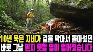 등산하던 할머니 앞에 큰 지네 한마리가 길을 가로 막던 그날 믿지 못할 놀라운 일이 벌어졌습니다.