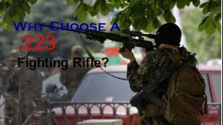 Why Choose A  .223/5.56 Fighting Rifle?