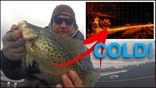 Winter Crappie (Schools of fish)