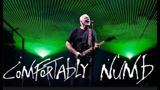 David Gilmour " Comfortably Numb " Royale Albert Hall 2006