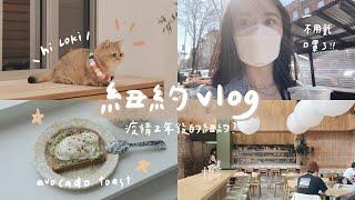 紐約vlog | 疫情2年後口罩解封的紐約、可愛咖啡廳踩點️、自製酪梨吐司、最可愛短腿貓慶生