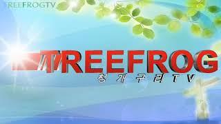 (청개구리TV TREE FROG TV) 청개구리 복음 뉴스