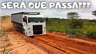 Caminhão boiadeiro constellation 24250 do Rolando no areião do Mato Grosso