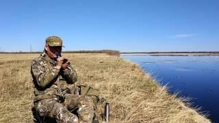 Духовой манок от Schoolhunter-а серии Dominator