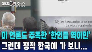 미 언론도 주목한 '한인들 역이민'. 그런데 정작 한국에 가 보니..ㅣ SBS 미국 뉴스