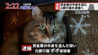 【速報】貸金庫から十数億を盗んだ疑いで元銀行猫を逮捕