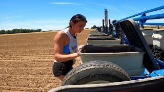 Planting Corn with a 7140 Boxcar Magnum