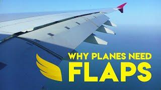 Why Do Planes Have Flaps? | Fly Anatomy