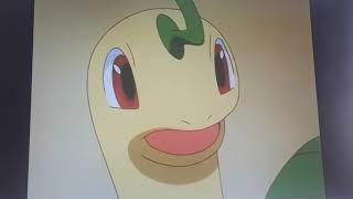 Pokemon Clip: Bayleef Sad