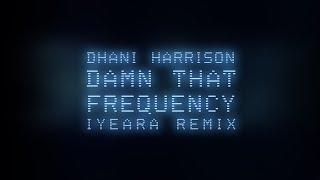 Dhani Harrison - Damn That Frequency (IYEARA Remix) (Official Audio)
