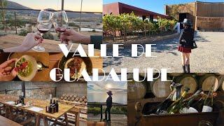 LO MEJOR DE VALLE DE GUADALUPE | THE BEST OF VALLE DE GUADALUPE VLOG #valledeguadalupe #wine #vino