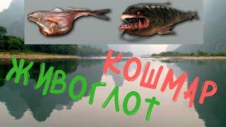 My Fishing World 2020 Ловля Мутанта Кошмар и Живоглот