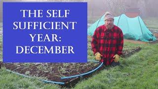 The Self Sufficient Year Month by Month - December