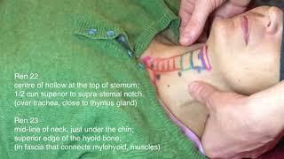 Acupuncture Points of the Anterior Neck - Danny Blyth