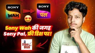 Sony Wah Ki जगह Sony Pal, Free Dish पर !  | DD Free Dish New Update