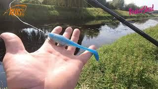 Topwater-Angeln mit BONKER Shad von RioS Baits