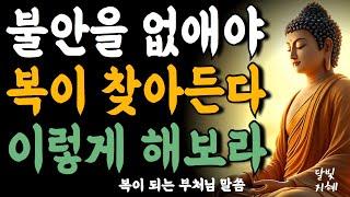 불안을 없애면 복이 찾아온다 이렇게 해보라부처님 말씀ㅣ불교 명언ㅣ석가모니 가르침