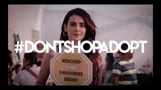 #DontShopAdopt - Tarush Gandhi ft. World For All Animal Care and Adoptions