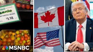 Trump slaps tariffs on Canada, Mexico; WSJ says Trump taking 'the dumbest tariff plunge'