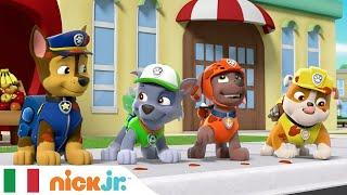 PAW Patrol - La squadra dei cuccioli | I Super Cuccioli in Missione di Salvataggio! | Nick Jr.