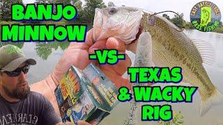 BANJO Minnow Vs. Modern RIGS (Wacky & Texas) Bass Fishing