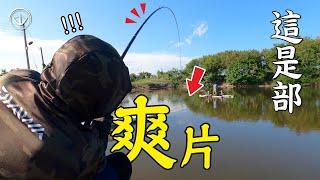 Blast Dragon Tabby! Netizens about fishing part2, the first time to shoot the farm, the result is...