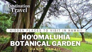 Ho'omaluhia Botanical Gardens | Things to do on Oahu | Hawaii Luxury Travel