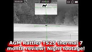 AGM Rattler TS25x384 7 month review! Night footage! Thermal riflescope