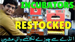 Incubators are Restocked at Nishaman Traders Lahore