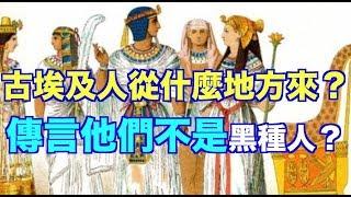 古埃及人從什麼地方來？傳言他們不是黑種人？ （語音文章）