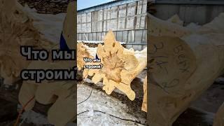 полное видео тут #зухрашакирова #drevocraft #shorts #баня #домизбревна #домизкедра #плотник #рубка