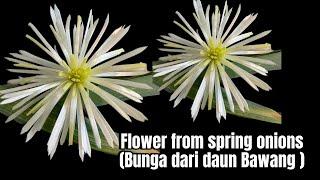 how to make flower from springs onions (Bunga Dari Daun Bawang )