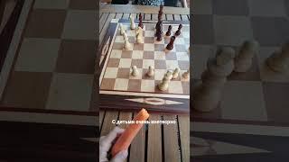 играем в шахматы #шахматы #shorts